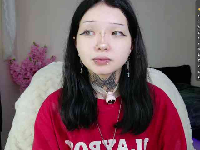 Leinbone webcam
