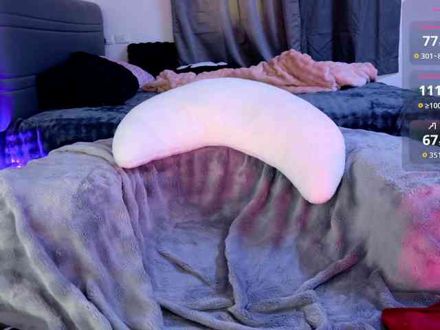 Leinbone webcam