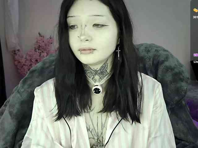 Leinbone webcam