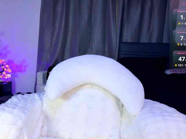 Leinbone webcam