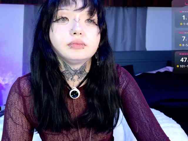 Leinbone webcam