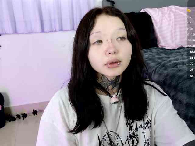Leinbone webcam