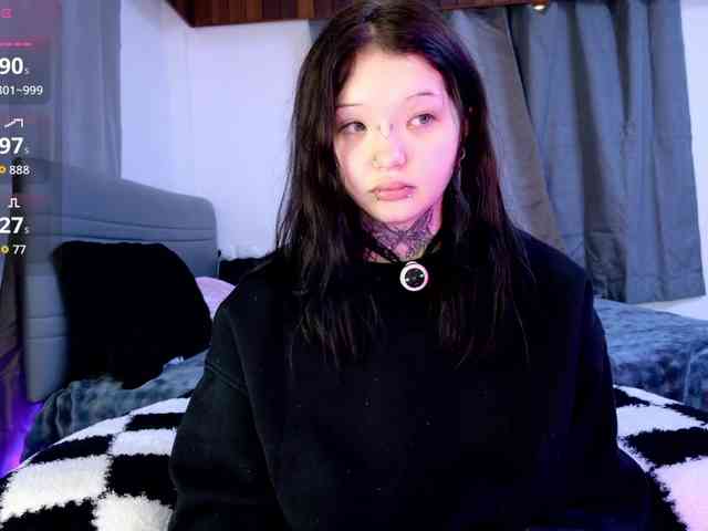 Leinbone webcam