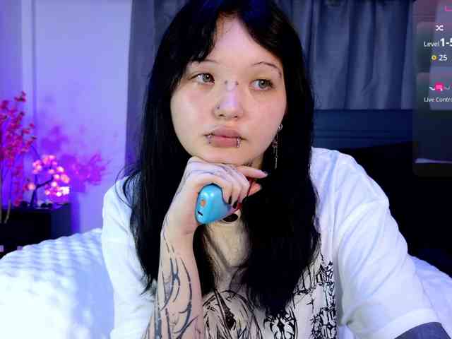 Leinbone webcam