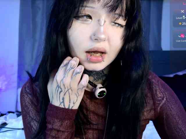 Leinbone webcam