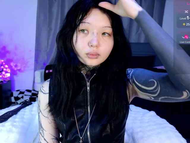 Leinbone webcam