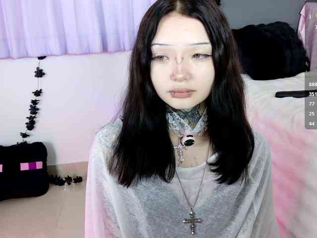 Leinbone webcam