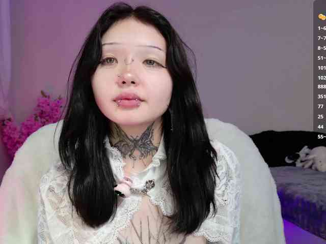 Leinbone webcam