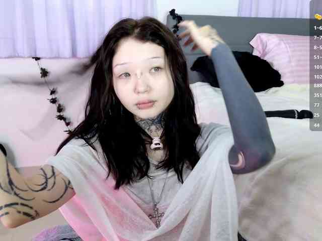 Leinbone webcam