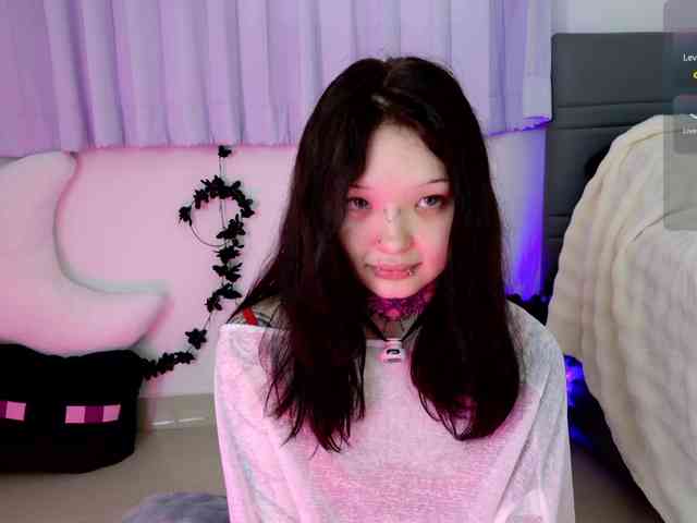 Leinbone webcam