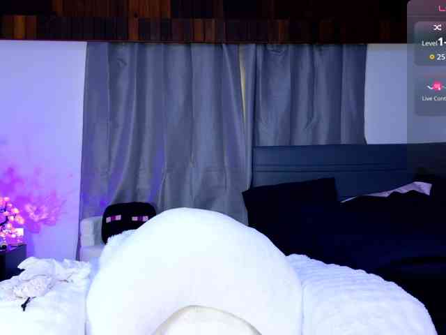 Leinbone webcam