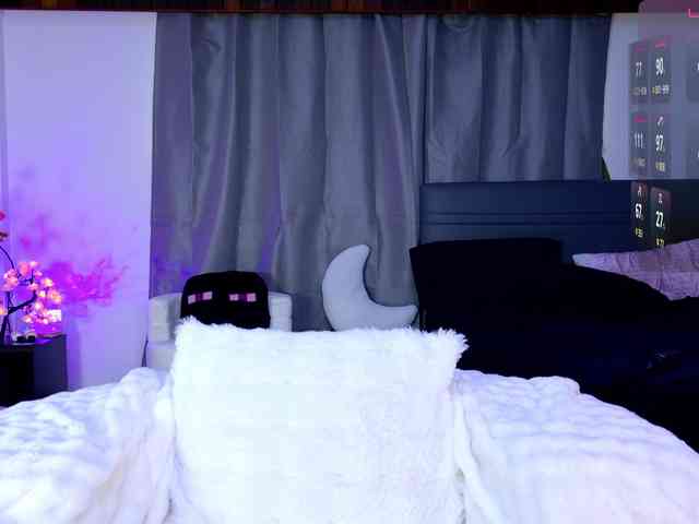 Leinbone webcam