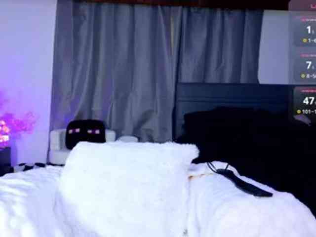Leinbone webcam