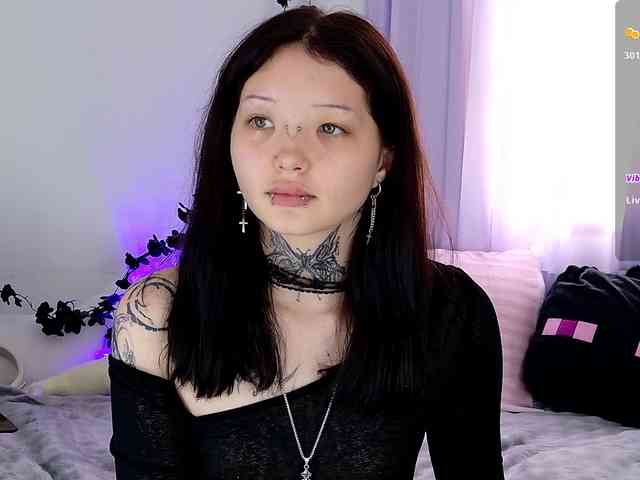 Leinbone webcam