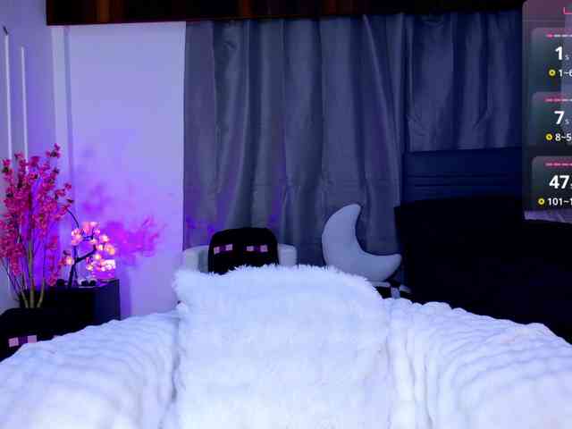 Leinbone webcam