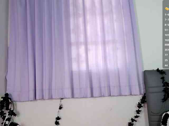 Leinbone webcam