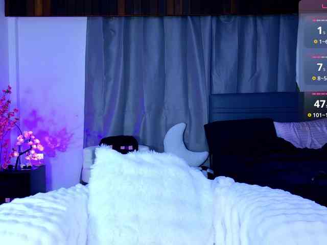 Leinbone webcam