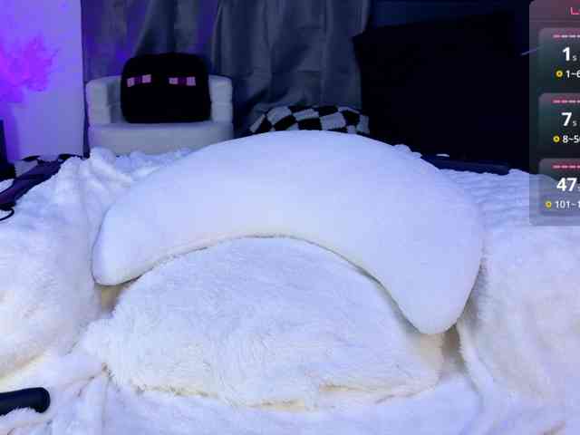 Leinbone webcam