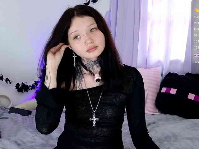 Leinbone webcam