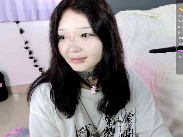 Leinbone webcam