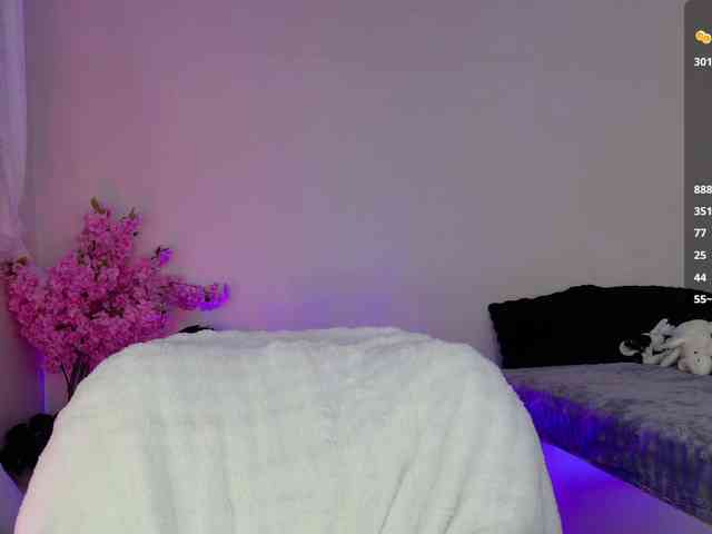 Leinbone webcam
