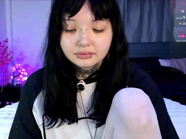 Leinbone webcam