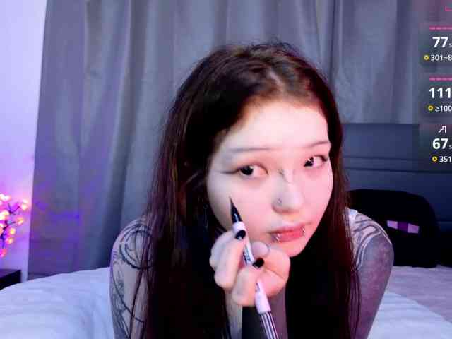 Leinbone webcam