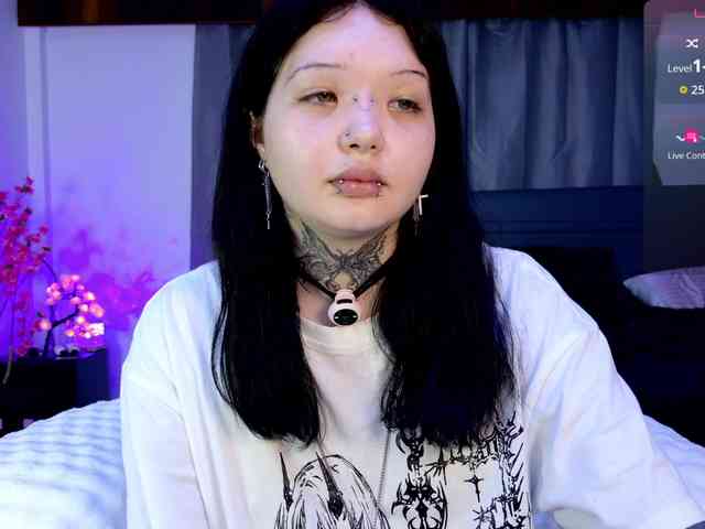 Leinbone webcam