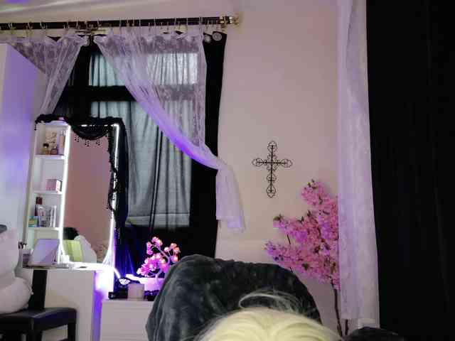 Leinbone webcam