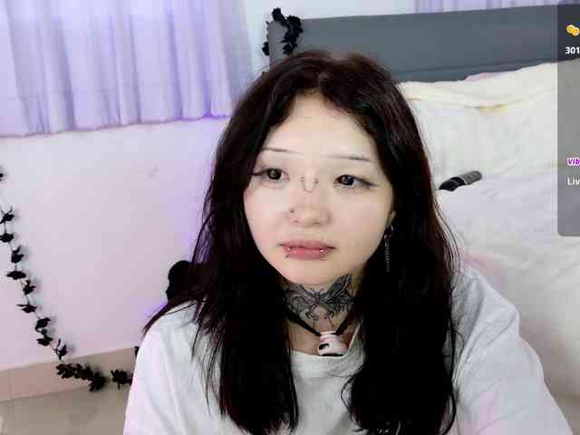 Leinbone webcam