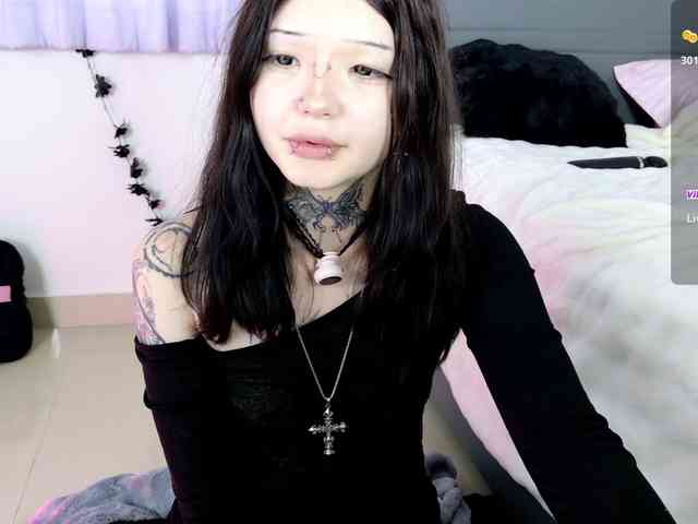Leinbone webcam