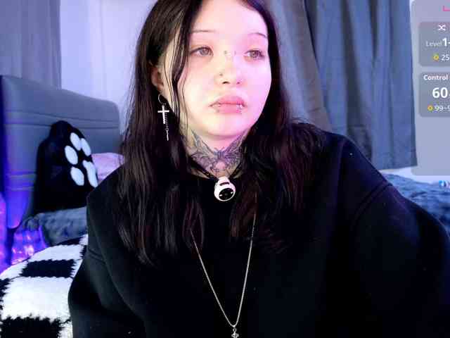 Leinbone webcam