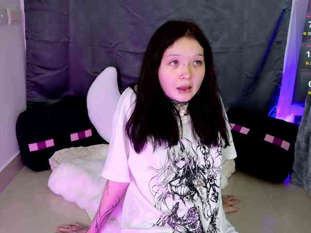 Leinbone webcam
