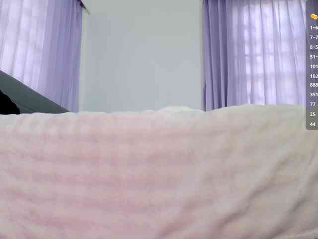 Leinbone webcam