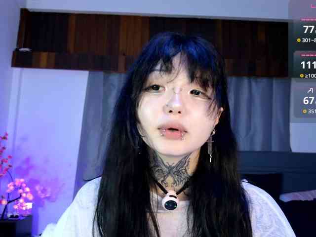 Leinbone webcam