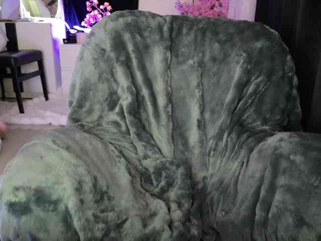 Leinbone webcam
