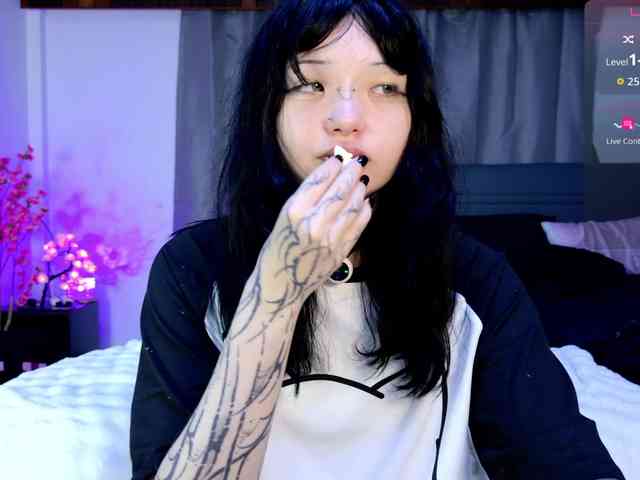 Leinbone webcam