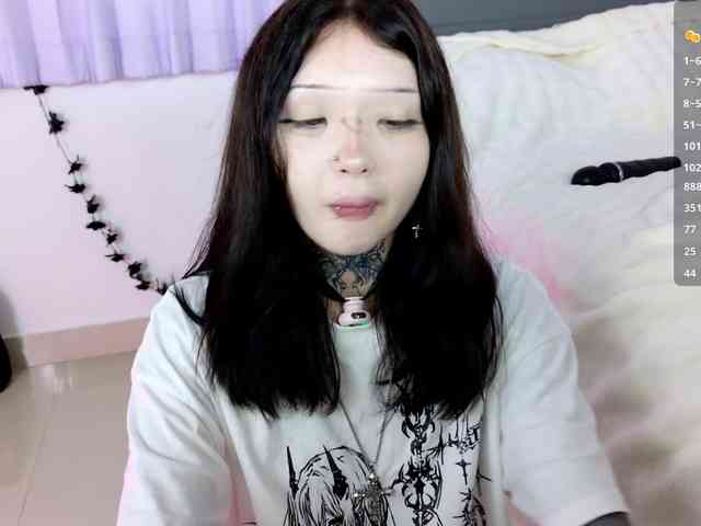 Leinbone webcam
