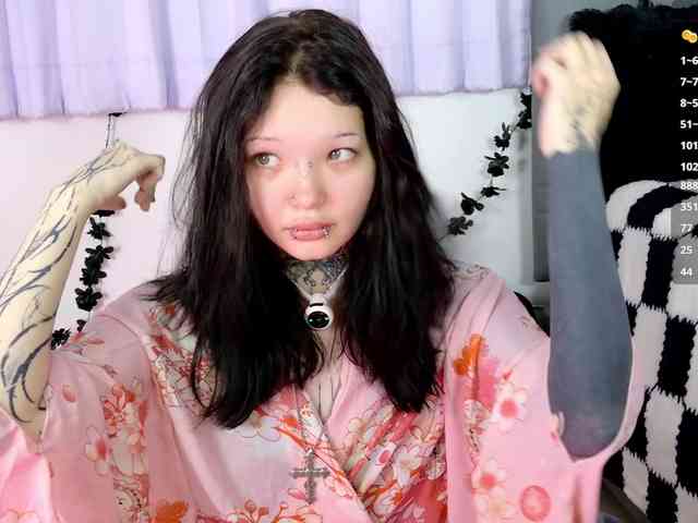 Leinbone webcam