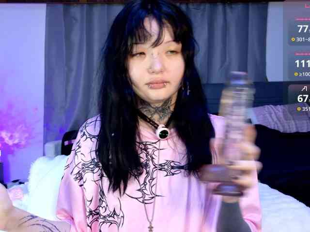 Leinbone webcam
