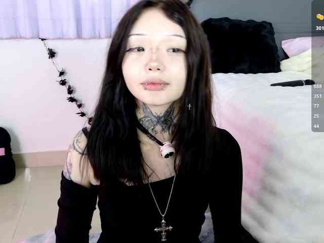 Leinbone webcam