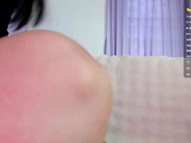 Leinbone webcam