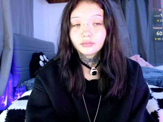 Leinbone webcam