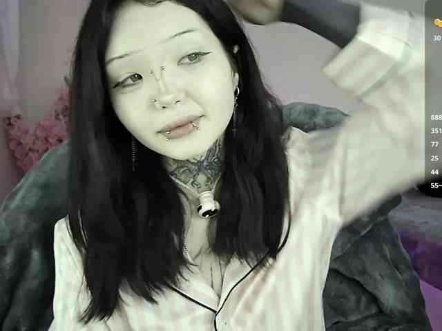 Leinbone webcam