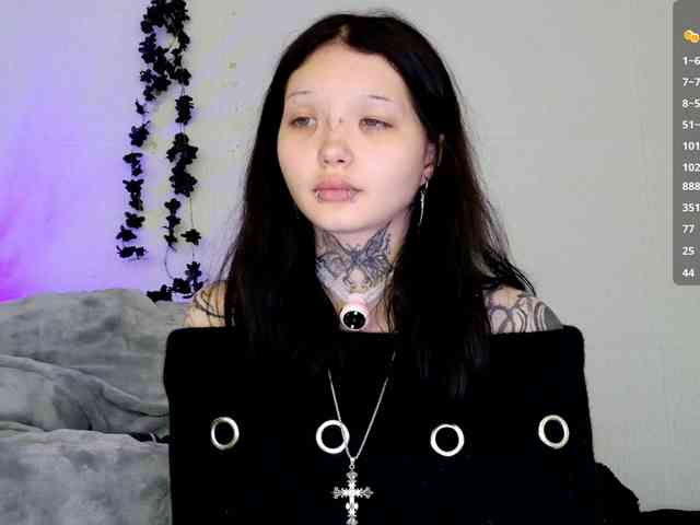 Leinbone webcam
