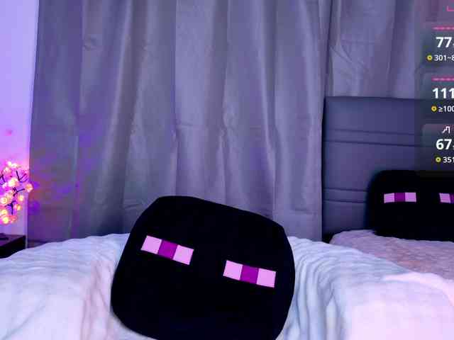 Leinbone webcam