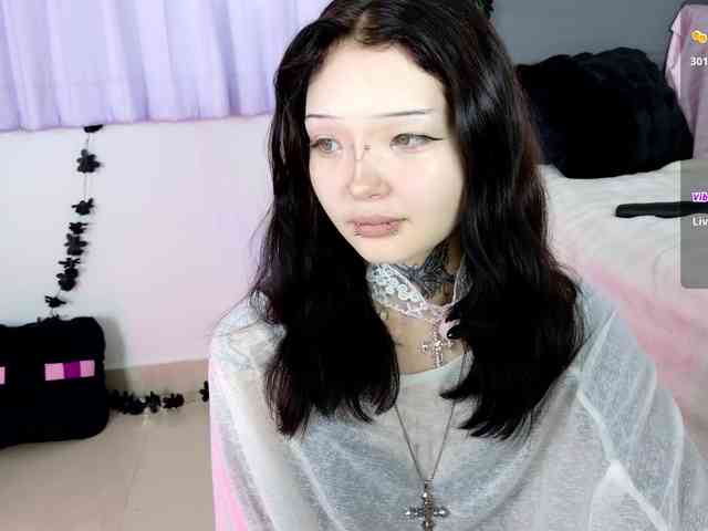 Leinbone webcam