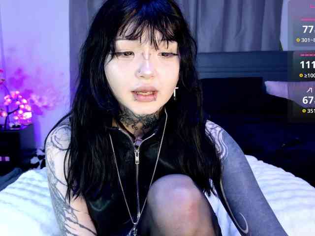 Leinbone webcam