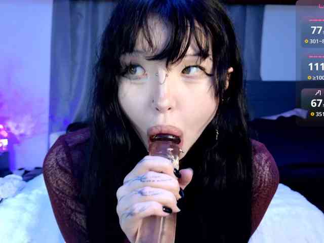 Leinbone webcam