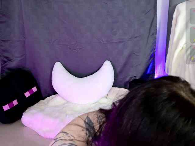 Leinbone webcam